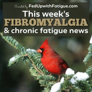 A photograph of an evergreen branch with a red cardinal with the text "This week's fibromyalgia and chronic fatigue news" overlaid on the photo